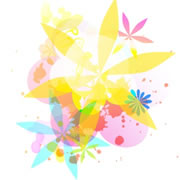 ؍F̔Mv