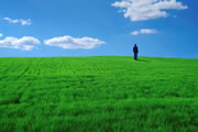 ؍F̔Mv